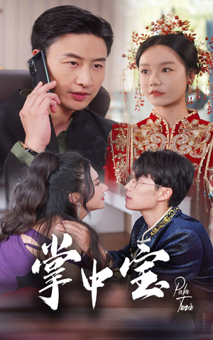 掌中宝(31集) 掌中宝(31集)在哪里可以全集