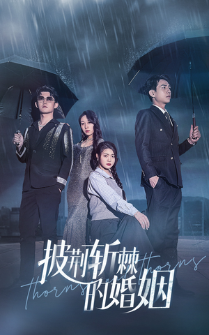披荆斩棘的婚姻(70集) 披荆斩棘的婚姻(70集)全集在线看