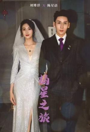 摘星之旅（88集）真的太好看了