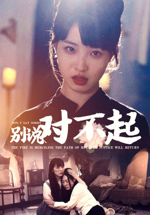 别说对不起（35集）最后一集