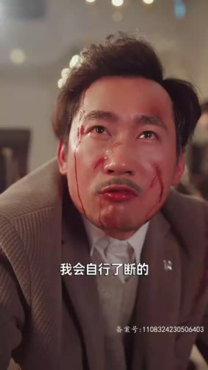 我的父亲风华绝代（100集）最后的大结局