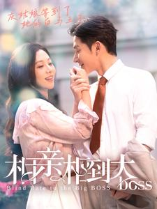 相亲相到大boss（101集）在哪里看