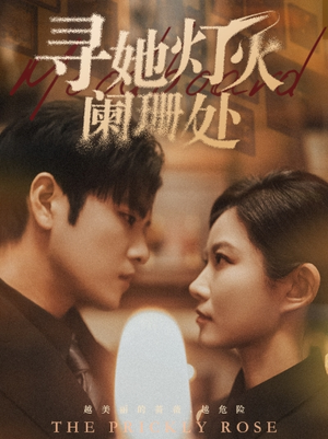 寻她灯火阑珊处（61集）怎么看全集