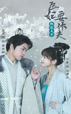 权宠天下：医妃要休夫（94集）精彩的网络短剧