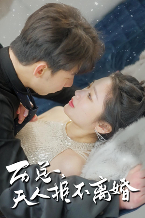 历总，夫人拒不离婚（61集）在线免费观看