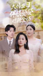 大婚当日伴娘婆婆惊艳全场（30集）短剧小说在线看