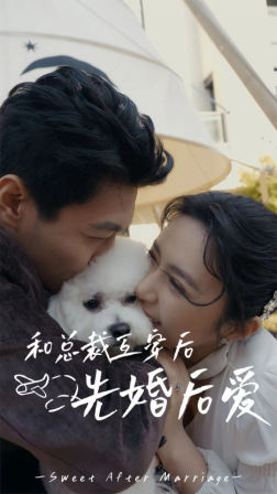 和总裁互穿后先婚后爱（60集）免费观看完整版