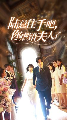 陆总住手吧，你虐错夫人了（80集）火爆热门短剧