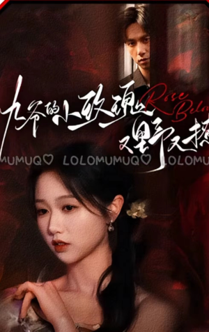 九爷的小玫瑰又野又撩（100集）百度在线观看