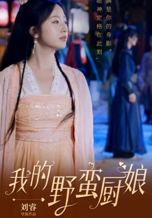 我的野蛮厨娘（64集）大结局