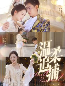 温柔追捕（89集）免费短剧推荐