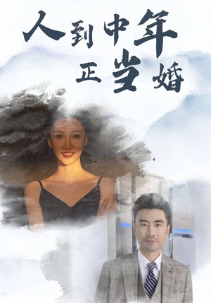 人到中年正当婚（81集）全集一次看完
