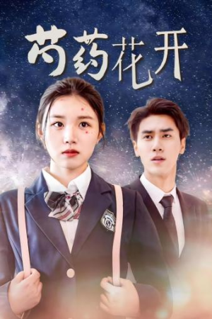 火光中的芍药花（77集）短剧精彩绝伦