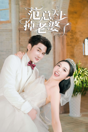 范总天上掉老婆了（78集）高清无码免费看