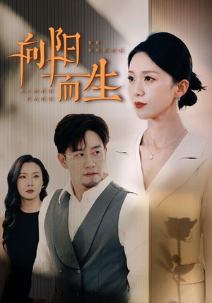 向阳而生（60集）在哪看免费