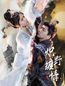炽野缠情（95集）短剧爆款推荐