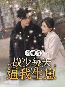 闪婚后战少每天逼我生崽(91集) 闪婚后战少每天逼我生崽(91集)在线播放