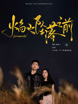 焰火坠落之前（99集）热门爆款短剧