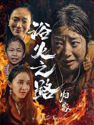 浴火之路归家（34集）更新时间