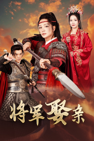 将军娶亲（36集）全集一网打尽