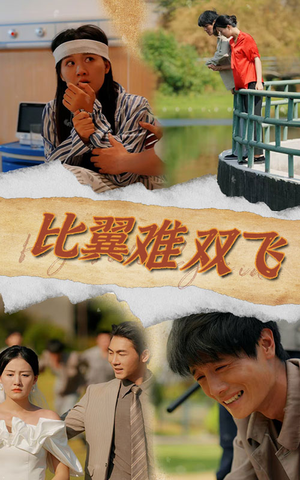 比翼难双飞（30集）超甜短剧抢先看