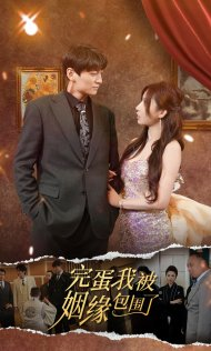 完蛋我被姻缘包围了（86集）精彩不断免费看