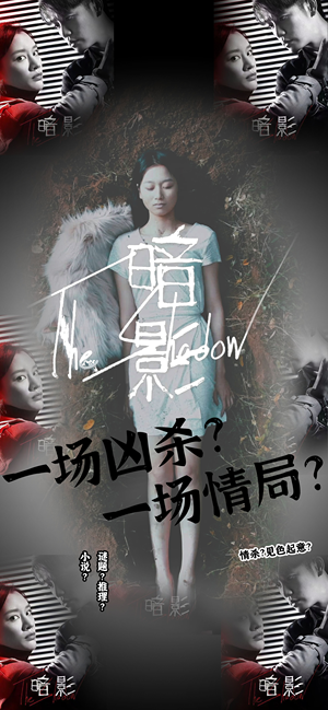 暗影（50集）在线免费观看