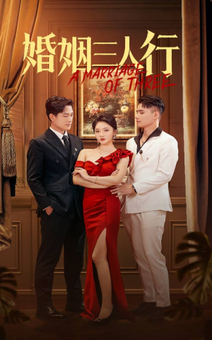 婚姻三人行（31集）短剧在线更新