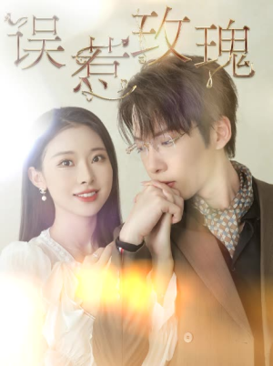 误惹玫瑰（66集）全集一次看完