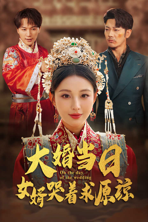 大婚当日，女婿哭着求原谅（31集）集免费看短剧