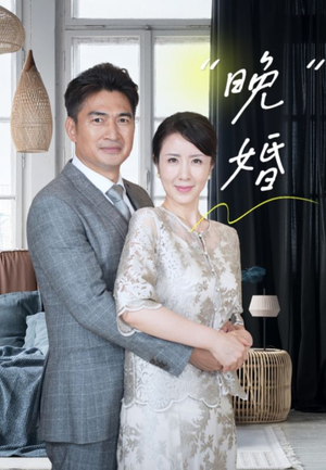 晚婚（65集）不用花钱看全剧