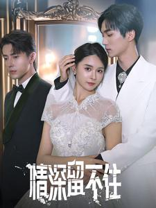 情深留不住（80集）免费在线看