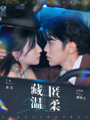 藏匿温柔（99集）热播古装短剧