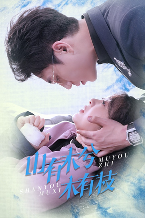 山有木兮木有枝（60集）精彩短剧合集