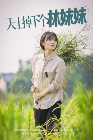 天上掉下个林妹妹（81集）解说文案