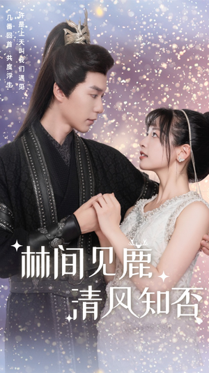 林间见鹿清风知否（62集）最火的短剧