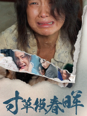 寸草报春晖（65集）太好看了短剧