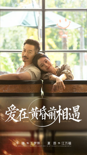 爱在黄昏前相遇（65集）全集我都看完了