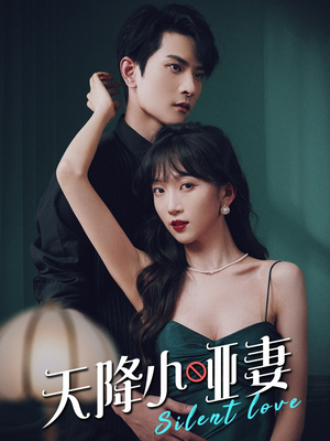 天降小哑妻（80集）演的怎么样