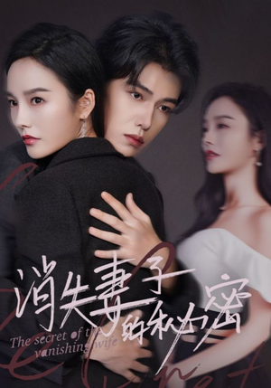 消失妻子的秘密（60）好看短剧看不停