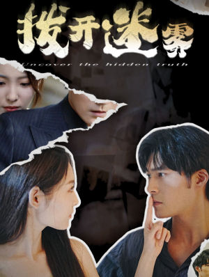 拨开迷雾（85集）第一季
