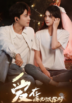 爱在曙光微露时(49集) 爱在曙光微露时(49集)网上可以看吗