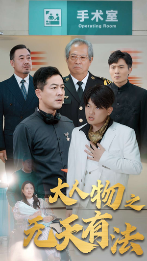 .新大人物之无天有法（35集）免费短剧合集