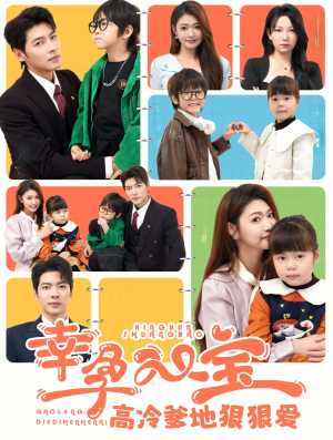 幸孕双宝高冷爹地狠狠爱（80集）精彩短剧随心推