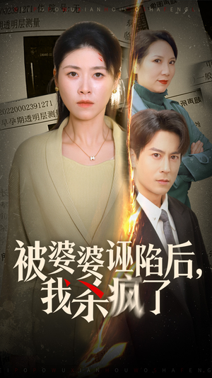 被婆婆诬陷后我杀疯了（30集）在线观看完整版