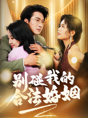 别碰我的合法婚姻（30集）完整版免费观看