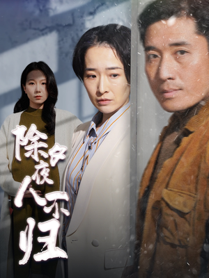 除夕夜人不归（47集）推荐热门短剧