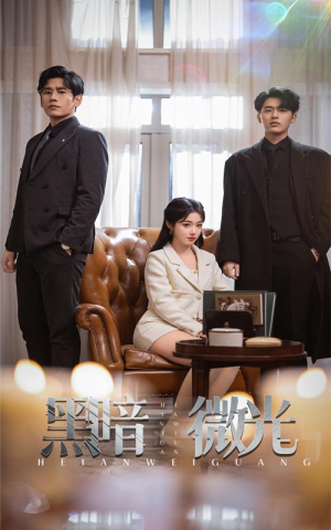 黑暗微光（66集）分享好看短剧