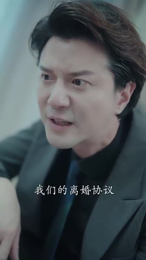 被隐藏的宝贝（51集）热门火爆短剧