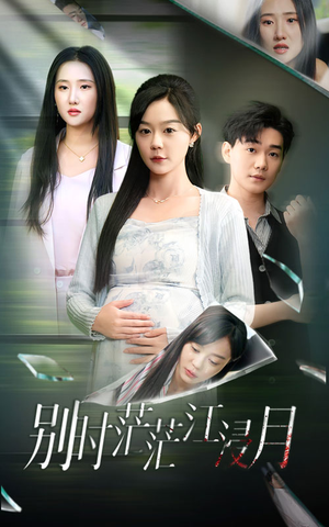 别时茫茫江浸月（30集）热门爆款短剧
